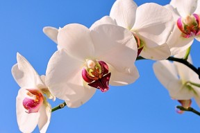 世界体能恢复公益课堂乡镇师资培训第二批开班，世界体能大赛