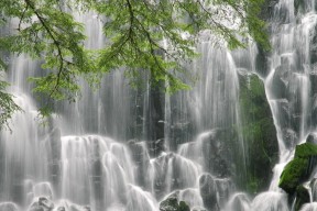 世界游泳锦标赛后选手恢复秘诀，世界游泳锦标赛几年一届