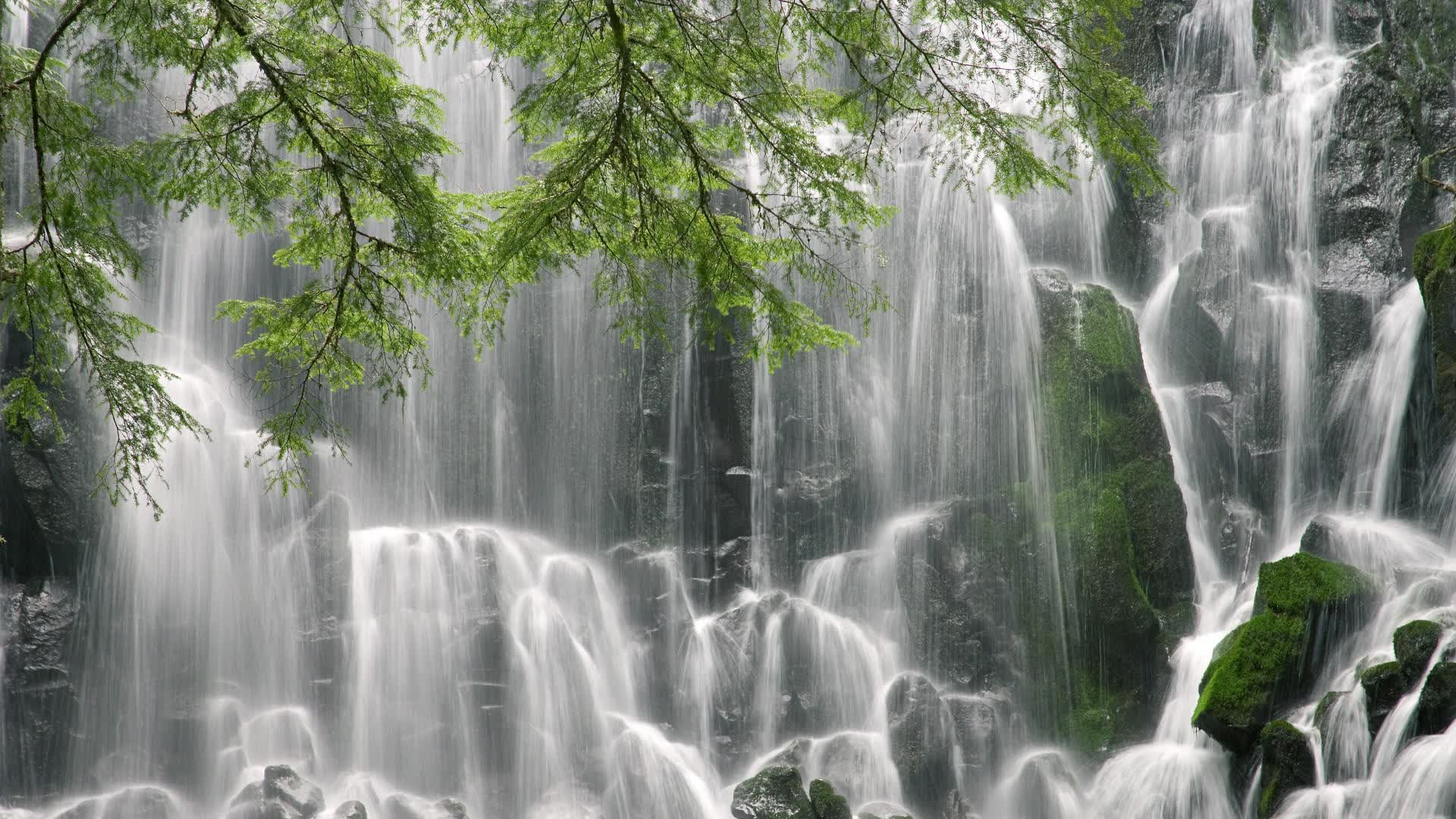 世界游泳锦标赛后选手恢复秘诀，世界游泳锦标赛几年一届