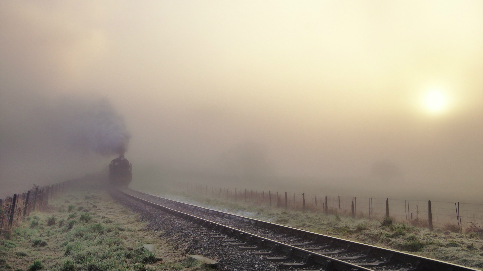世界短跑线上对抗赛暑期特辑回顾视频上线,2021世界短跑